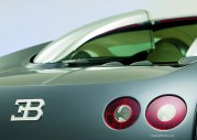 Bugatti Veyron Pur Sang